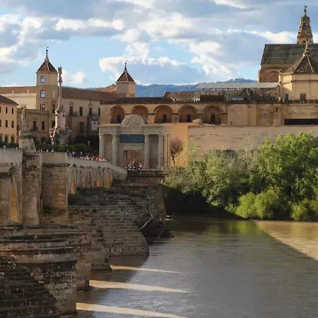 Vistas A La Mezquita *